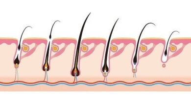 بصيلات الشعر القوية و الصحية .. كيف يكون ذلك ؟