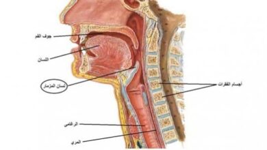 انتبهوا جيداً إلى أهم أعراض التهاب لسان المزمار