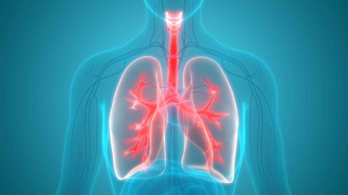 الحفاظ على صحة وسلامة الجهاز التنفسي بطرق صحية
