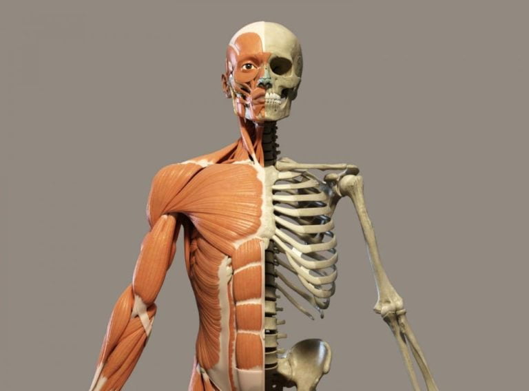 تقوية العظام بطرق طبيعية